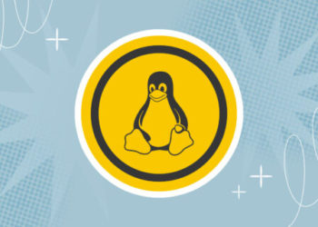 Какой дистрибутив Linux выбрать в 2023 году